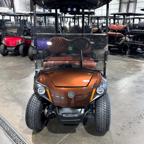 2021 Yamaha Drive2 Quietech EFI ELECTRIC, Lithium Battery ( Brown )