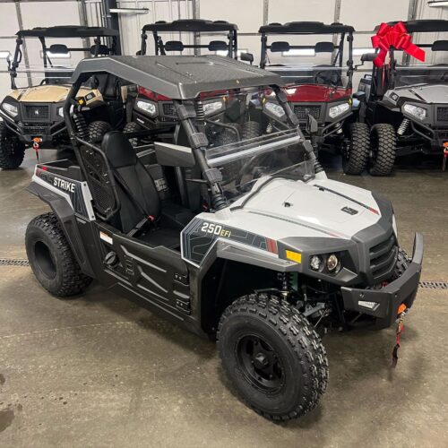 2022 Hisun Strike 250 UTV