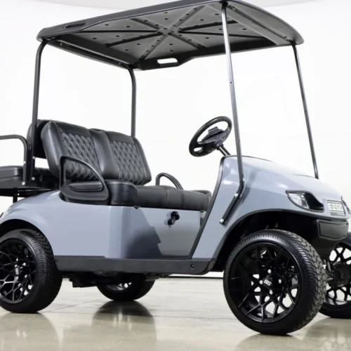 2019 E-Z-GO Freedom TXT